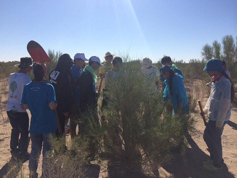 ������Ҫ��һ���ļ��ɺͽ�(j��ng)�(y��n)��ͬ�W(xu��)���_ʼ������һƬ�����ַ��ز����^�m(x��)�����[�ص��󶴡�