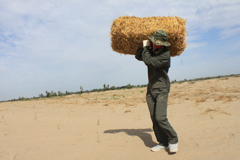 �F(tu��n)�T���i�������ݣ����ϳ����������������؟(z��)����