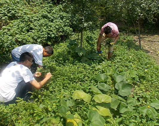 �ڶ������(du��)�T���_ʼ�������B(t��i)�r(n��ng)���w�(y��n)�r(n��ng)��������������ժ����