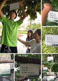 �K���r�WԺ�OӋУ�@ֲ����Ƭ�������K�r�Gɫ���}