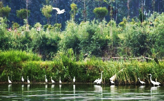 ͯԒ�ϼң���������Ԋ�����Ϙ���f����