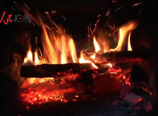 �t��t����~�ף�������ʳ���ρ�