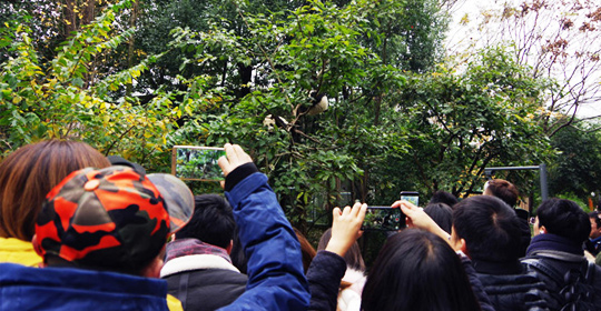 �@�����ӵ������ɶ����W(w��ng)�j���ˁ��cٝ