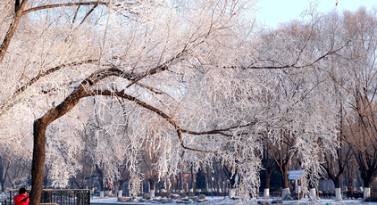 遼寧沈陽：霧凇美景醉游人