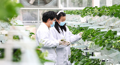 上海：實訓(xùn)基地學(xué)“智慧農(nóng)業(yè)”