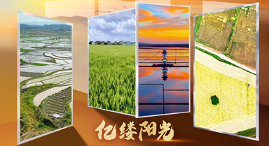 億縷陽光·鄉(xiāng)見︱藏在農(nóng)田裡的浪漫